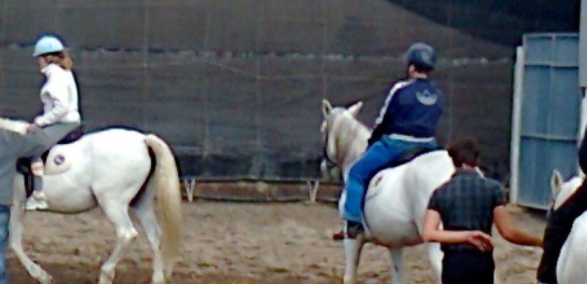 Miembros de la asociación AEMA durante una sesión de equinoterapia