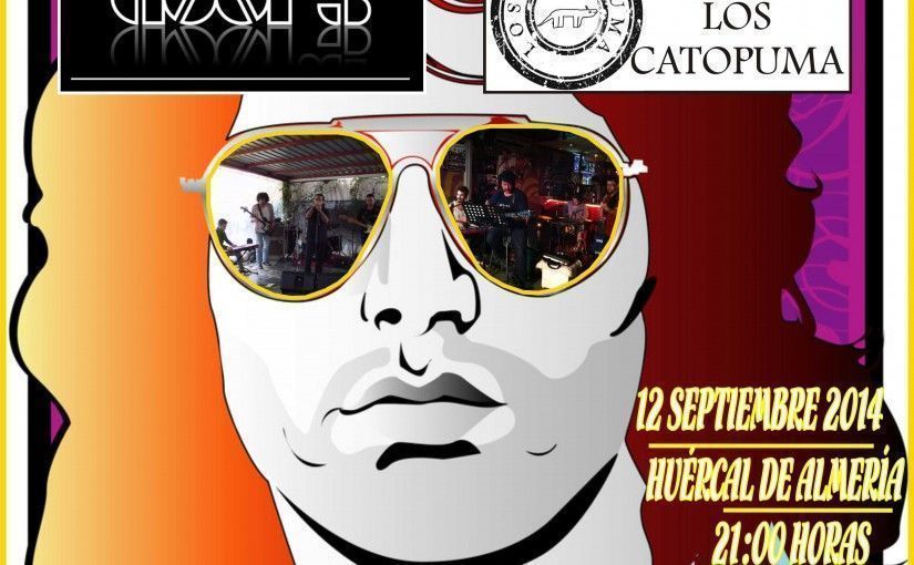 Cartel de concierto solidario organizado por AEMA